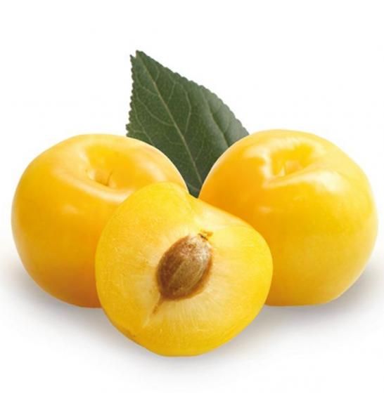 زردالو