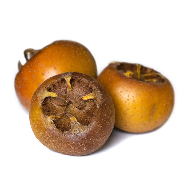 ازگیل
